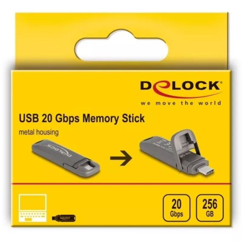 USB-Flash-Laufwerk DeLOCK 54012 256 GB USB Typ-C Grau