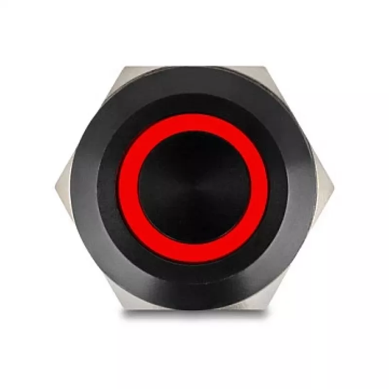 Panel-Drucktaster DELOCK 22015 22 mm, 12 V, 5 Lötanschlüsse