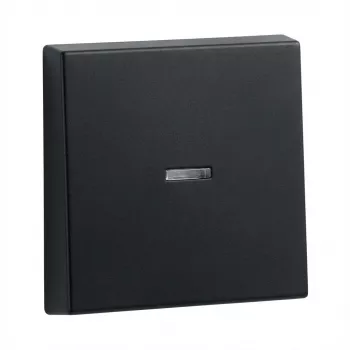 Wippen für Gira System 55 Kontrollrahmen, Modell 290005 (Wippe Kontrollf.)