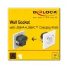 DeLOCK 11489 Steckdose CEE 7/3 + USB Weiß 250V 16A
