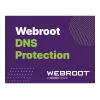 Webroot | DNS Protection mit GSM-Konsole | 1 Jahr(e) | Lizenzmenge 1-9 Benutzer