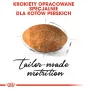 Trockenfutter für Katzen Royal Canin Persian 4 kg — ausgewachsene Perserkatze, Huhn, 30 % Protein, 22 % Fett