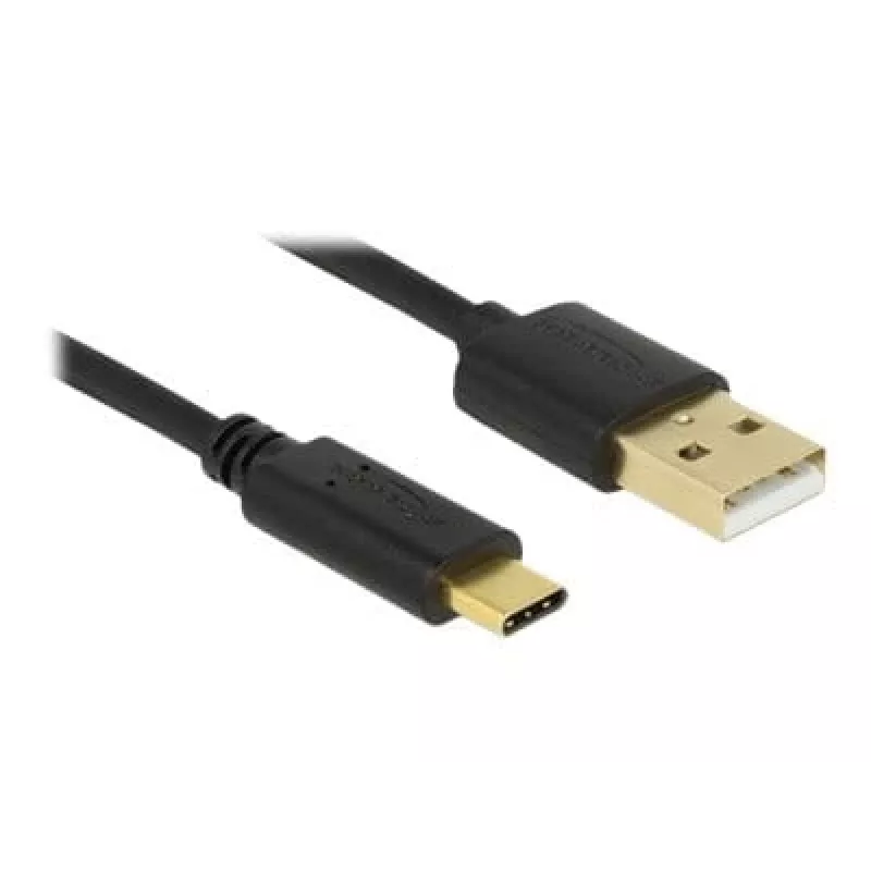 USB-Kabel DeLOCK 83669 USB 2.0 4 m USB A USB C Schwarz
