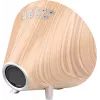 Nasa WSP1700 Holz Wetterstation/Lautsprecher BT Schiff