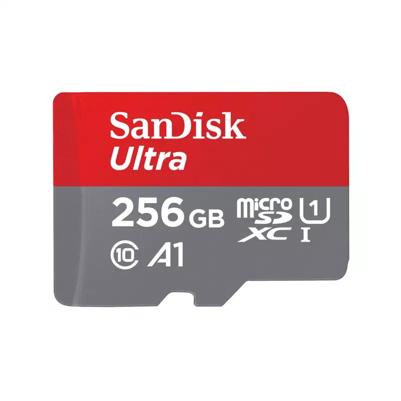 Flash-Speicher SanDisk 256 GB MicroSDXC UHS-I SDSQUNR-256G-GN6TA