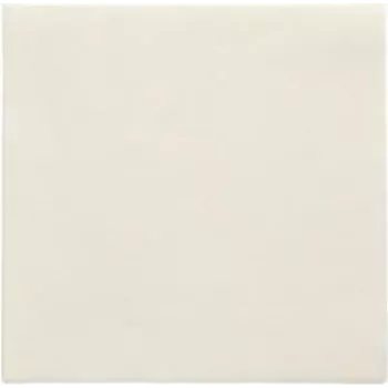 PAPSTAR Servietten Daily Collection champagner 2-lagig 16,0 x 16,0 cm 150 Stück (89637)