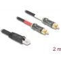 DeLOCK Audiokabel 2 m RJ-45 2 x RCA Schwarz 88171