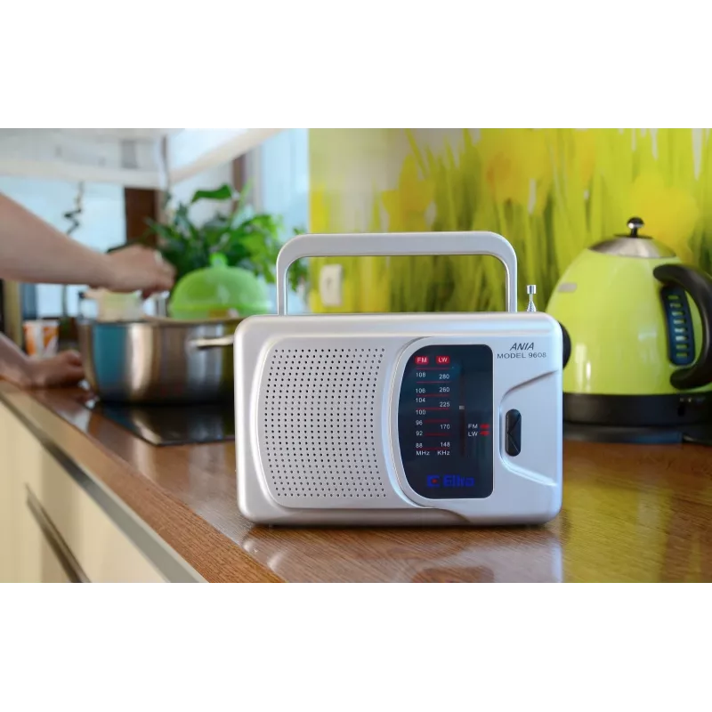 Radio Netz- und Batteriebetrieb FM, LW Eltra Ania