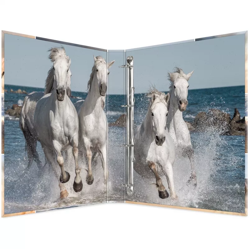 Ringbuch A4 HERMA 19360 Mehrfarbig