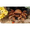 LEGO ICONS 10366 Tropisches Aquarium
