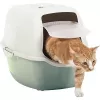 Katzentoilette mit Haube Rotho Bailey Grün Weiß 560×400×390 mm, Kohlefilter, 1 Griff