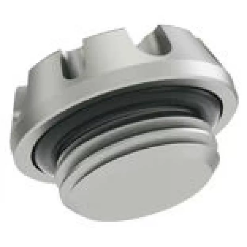 Barrow Kepler Stopfen G1/4 Zoll THODT-V1 - WS Silber — Anschlussstopfen, G1/4 Zoll Gewinde, silberne Oberfläche