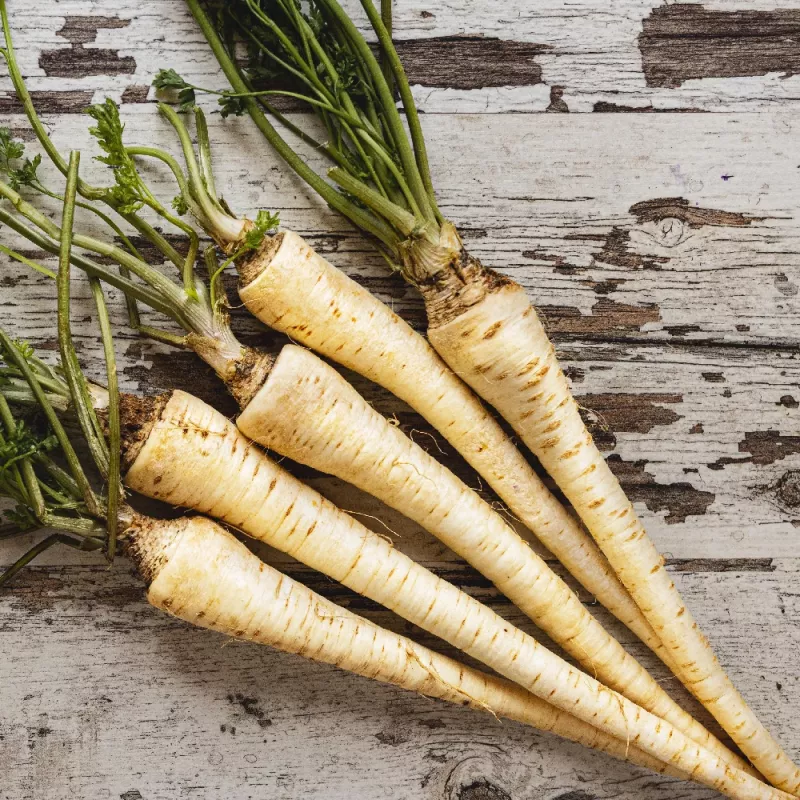 Samen – Pastinake (Pietruszka Korzeniowa Alba) 3 g Packung von Seklos LT