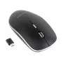Kabellose optische Maus mit USB-C-Empfänger