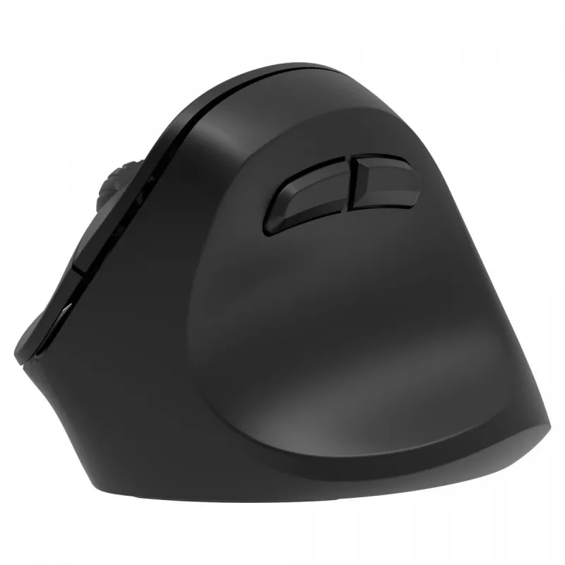 Ergonomische rechtshändige Funkmaus, Dual WL+BT