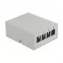Keystone Patch Panel DeLOCK 43407 4 Port Grau
