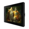 Huion Kamvas Pro 13 GT133 Grafiktablett