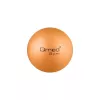 ABS-Rehabilitationsball 25 cm mit Pumpe