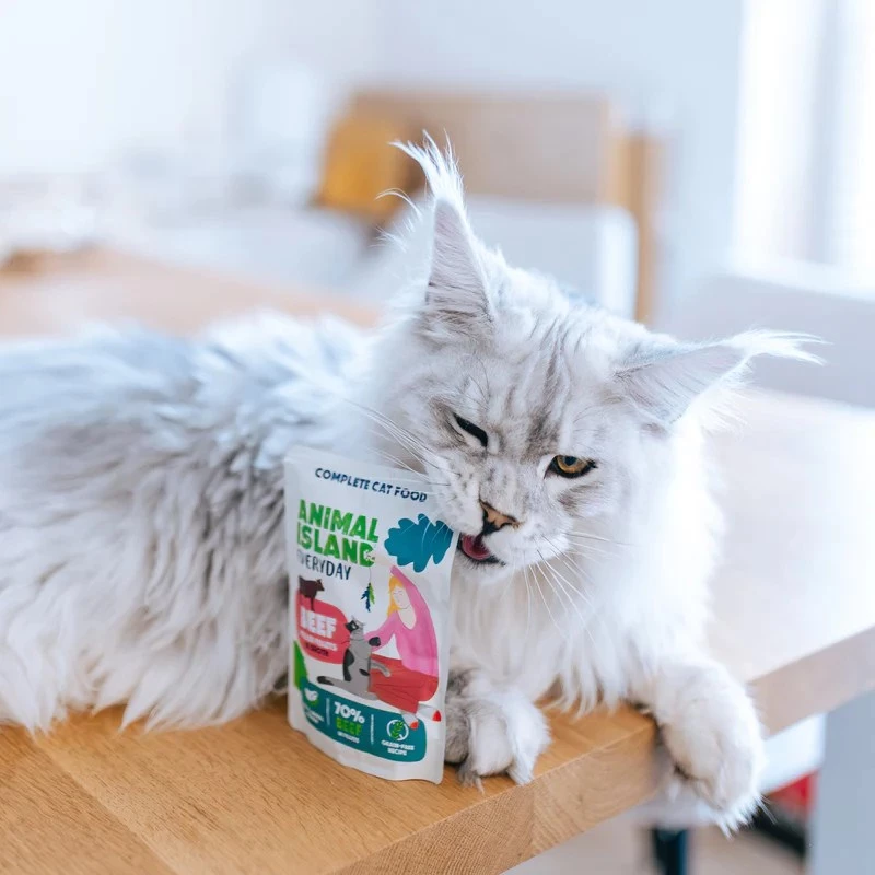 ANIMAL ISLAND Hühner-/Rinderfilets in Brühe - Nassfutter für Katzen - 80x85g