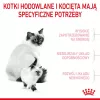 Trockenfutter für Katzen Royal Canin Mother & Babycat 400 g — Geflügel, für trächtige & säugende Kätzinnen und Jungkätzchen