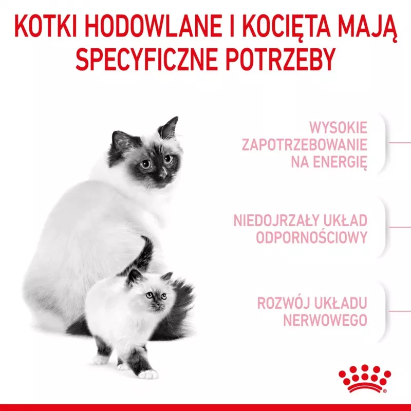 Trockenfutter für Katzen Royal Canin Mother & Babycat 400 g — Geflügel, für trächtige & säugende Kätzinnen und Jungkätzchen