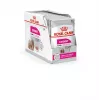 Nassfutter für Hunde Royal Canin Exigent Meat Universal 12×85 g — Geflügel, Adult, für wählerische Hunde