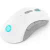 Gaming-Maus Lenovo Legion M600 RF Wireless + Bluetooth + USB Typ-A, beidhändig, 16000 DPI, 9 Tasten, wiederaufladbar