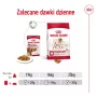 ROYAL CANIN SHN Medium Adult in Sauce - Nassfutter für ausgewachsene Hunde - 10x140g