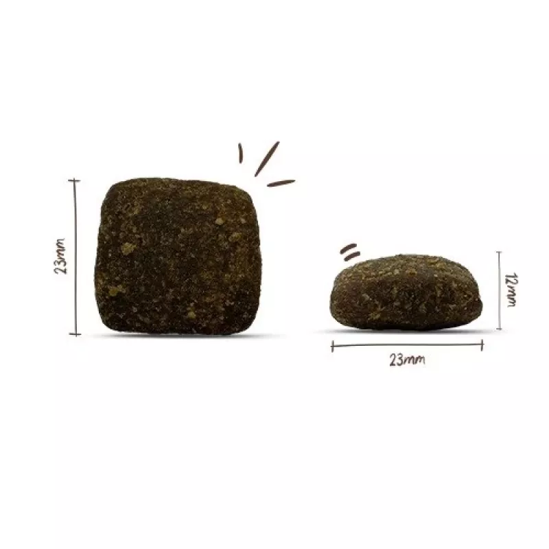 BOSCH Soft Maxi Wasserbüffel und Süßkartoffeln - Trockenfutter für Hunde - 2,5 kg