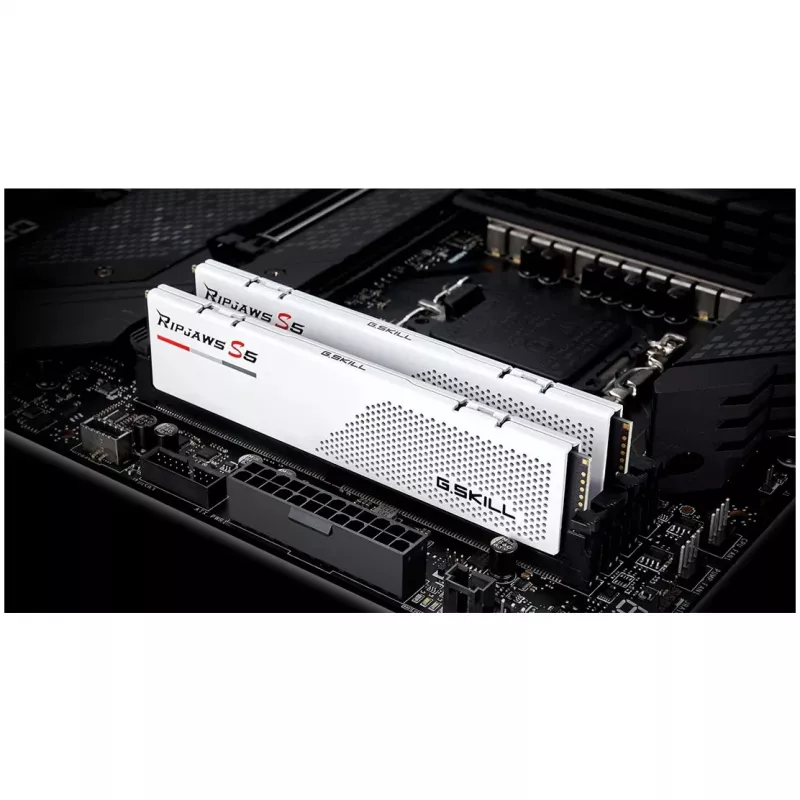 DIMM 64 GB DDR5-6000 (2x 32 GB) Dual-Kit, Arbeitsspeicher F5-6000J2836G32GX2-RS5W, Ripjaws S5, INTEL XMP