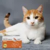 Nahrungsergänzungsmittel-Kapseln JM Sante Multiway Vet Duocaps Kidneys für Hunde und Katzen, 60 Stück, 150 g Kartonverpackung