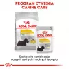 ROYAL CANIN Mini Dermacomfort - Trockenfutter für ausgewachsene kleine Hunderassen mit empfindlicher, zu Reizungen neigender Haut - 3 kg