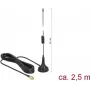 Außenantenne DeLOCK 89613