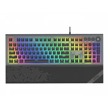 iBox Aurora K-5 Tastatur USB QWERTY Silber