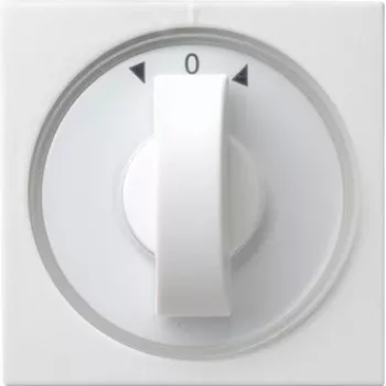 Gira 066603 Netzwerkgerät Weiß
