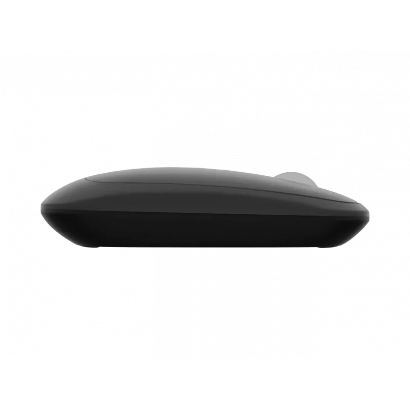 Natec Maus | Lark | Kabellos | 2,4 GHz, Bluetooth | Anthrazit