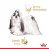 ROYAL CANIN Shih Tzu Adult Nassfutter für Hunde Pastete 12x85 g