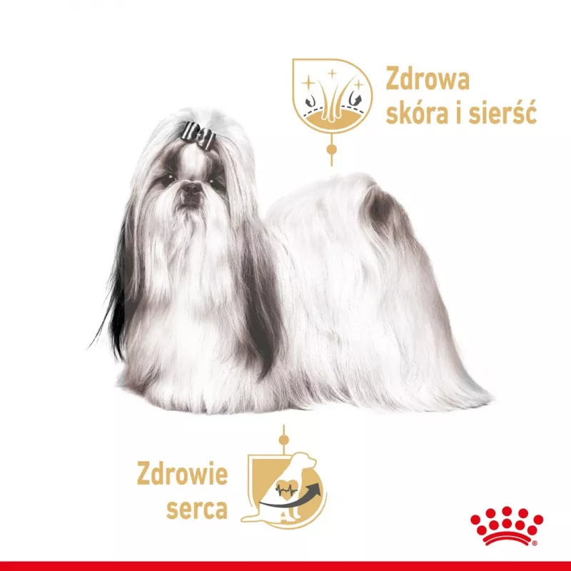 ROYAL CANIN Shih Tzu Adult Nassfutter für Hunde Pastete 12x85 g