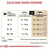 Trockenfutter für Katzen Royal Canin Maine Coon Kitten 2 kg — Geflügel, Protein 36%, Fett 23%