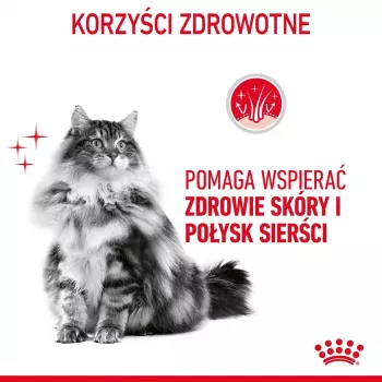 Trockenfutter für Katzen Royal Canin Hair & Skin Care 2 kg — Huhn, ausgewachsene Katzen, 33 % Protein, 22 % Fett