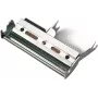 HONEYWELL 300 dpi - Druckkopf - für EasyCoder PX4i