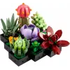 Lego Icons 10309 Sukkulenten