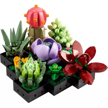 Lego Icons 10309 Sukkulenten