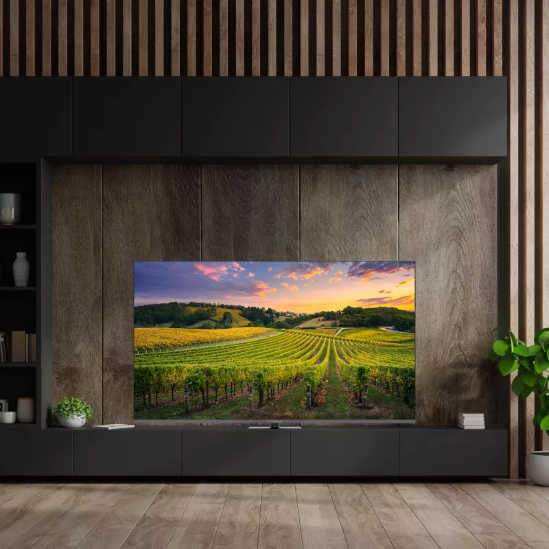 THOMSON 65QG5C14 65 4K Ultra HD Flachbild QLED TV