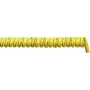 LappKabel Spiralkabel OLFLEX® SPIRAL 540 P 300 mm / 1000 mm 2 x 1,5 mm² Gelb 73220143 1 Stk. (73220143)