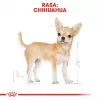 Trockenfutter für Hunde Royal Canin Chihuahua Adult 1,5 kg — Huhn, 28 % Protein, kleine/zwergwüchsige Rasse