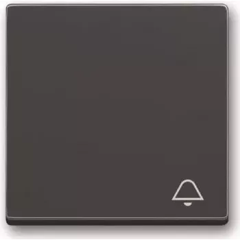 Busch-Jaeger Wippe mit Aufdruck anthrazit 2520 KI-81 (2CKA001751A3176)