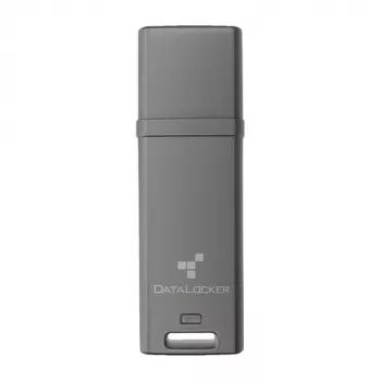 DataLocker 4 GB DL GO 256-Bit USB 3.2 Gen 1 – Flash-Speicher – sortiert (DLGO-004)