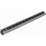 Power Distribution Unit Bachmann 300.005 12 AC Outlets 2U Schwarz Grau