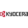 KYOCERA Life Plus 1 Lizenz(en) 3 Jahr(e)